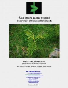 Aina Mauna report cover